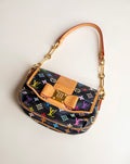Louis Vuitton Multicolor monogram